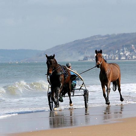 Le Nid De Plage A 100 M De La Mer Cabourg Exterior foto